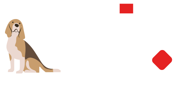 CSL MEXICO